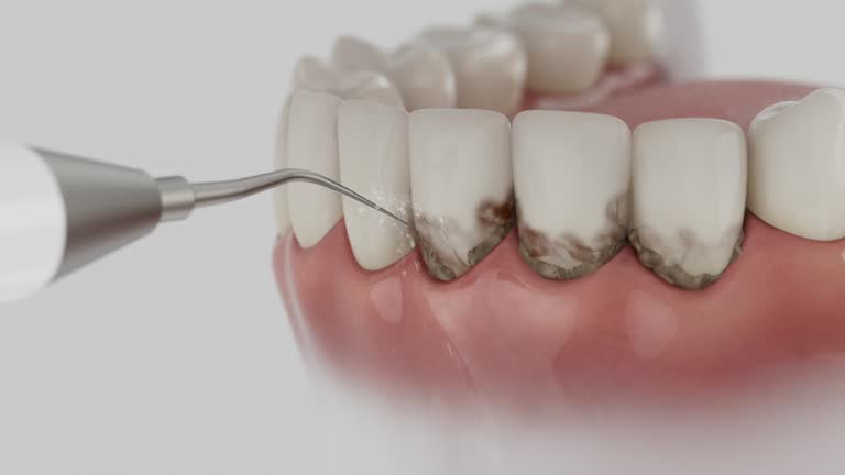 Reliable Dental contractor in Franklin, TN by Dentist Open Now